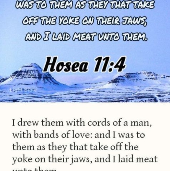 Meet your Posher, Albert - Picture 1 of 1